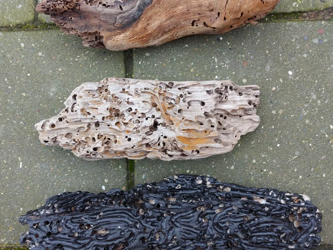 Billede 1 - Drivtømmer