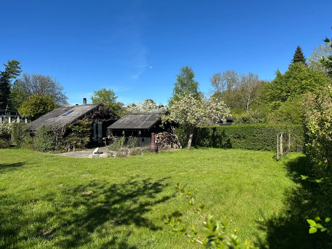 Billede 16 - Skøn kolonihave med fantastisk beliggenhed 