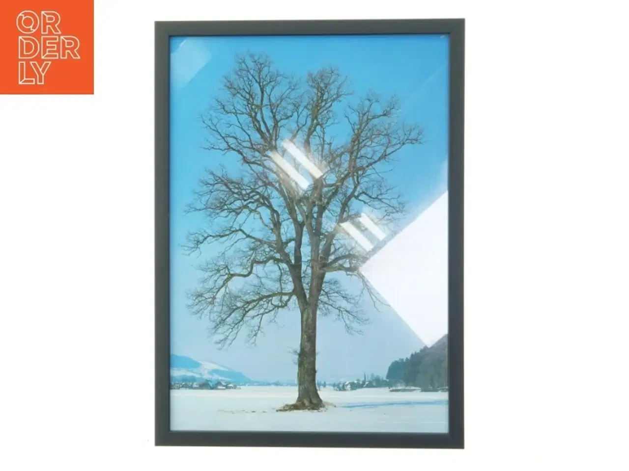 Billede 1 - Billede med sort ramme af træ i vinterlandskab (str. 29,8x42 cm)