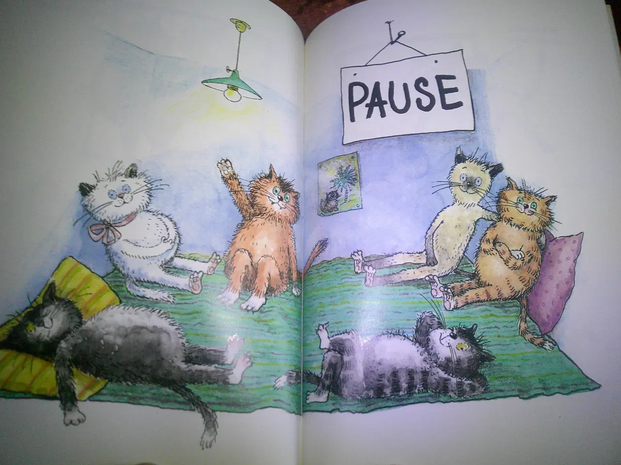 Billede 4 - Yoga for katte, Traudl Reiner, Walter Reiner