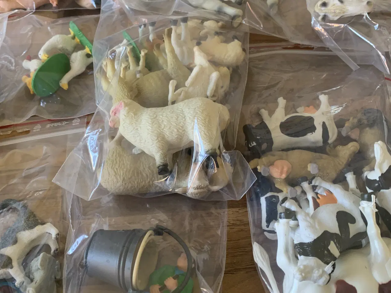 Billede 3 - Forskellige heste grise køer ,hunde og høns i god 