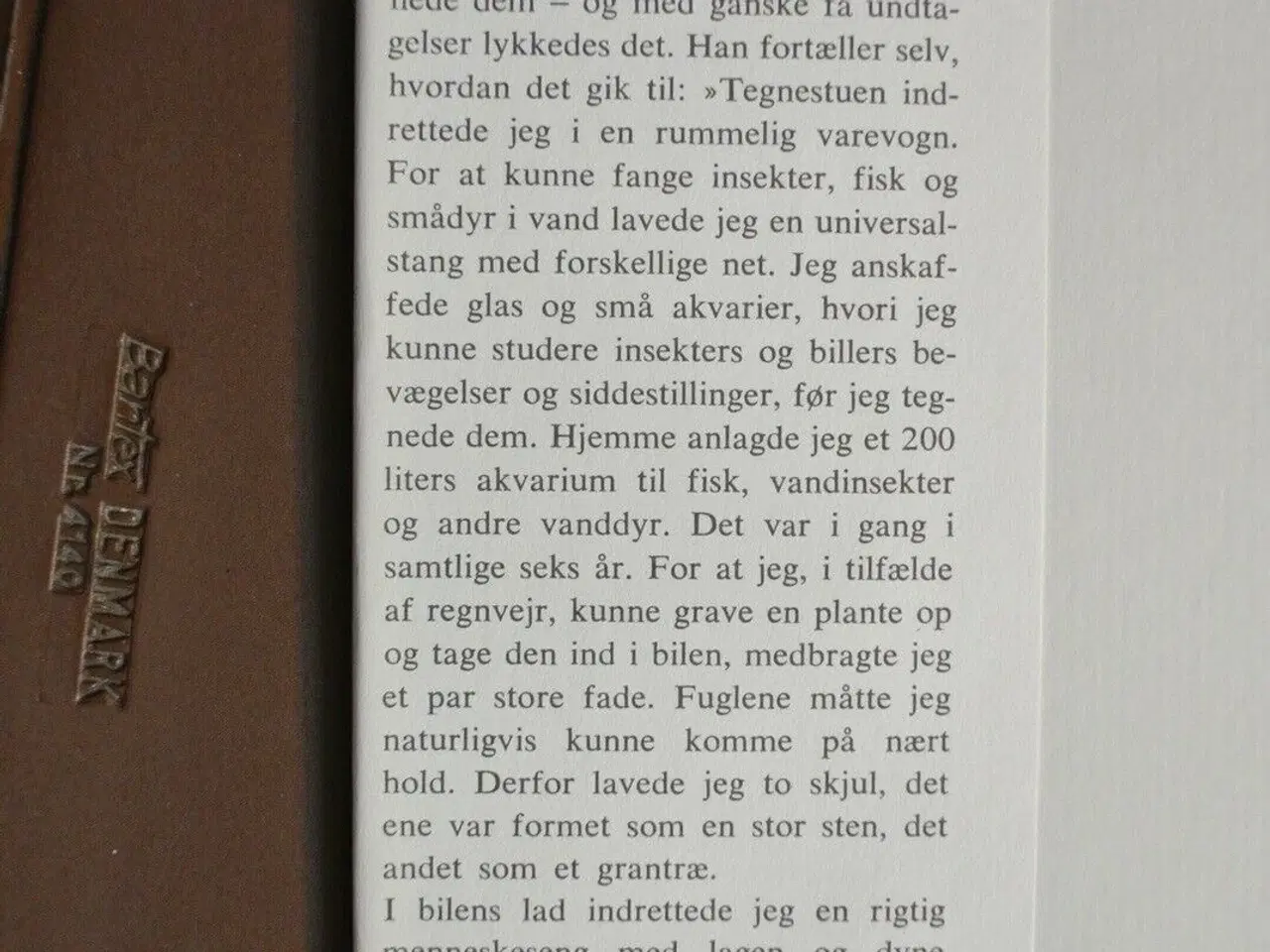 Billede 3 - årstiderne 1-4 - foråret, sommeren, efteråret