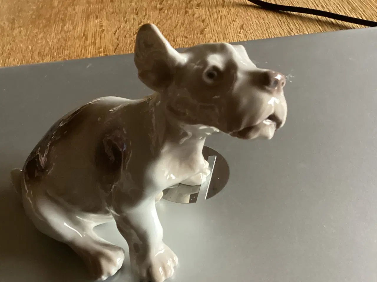 Billede 5 - BG Sealyham Hundehvalp