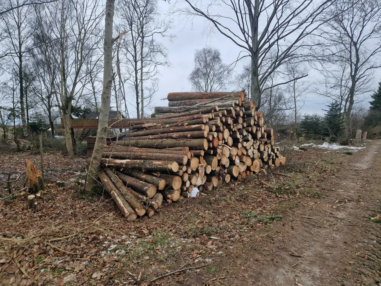 Billede 2 - Blandet træ