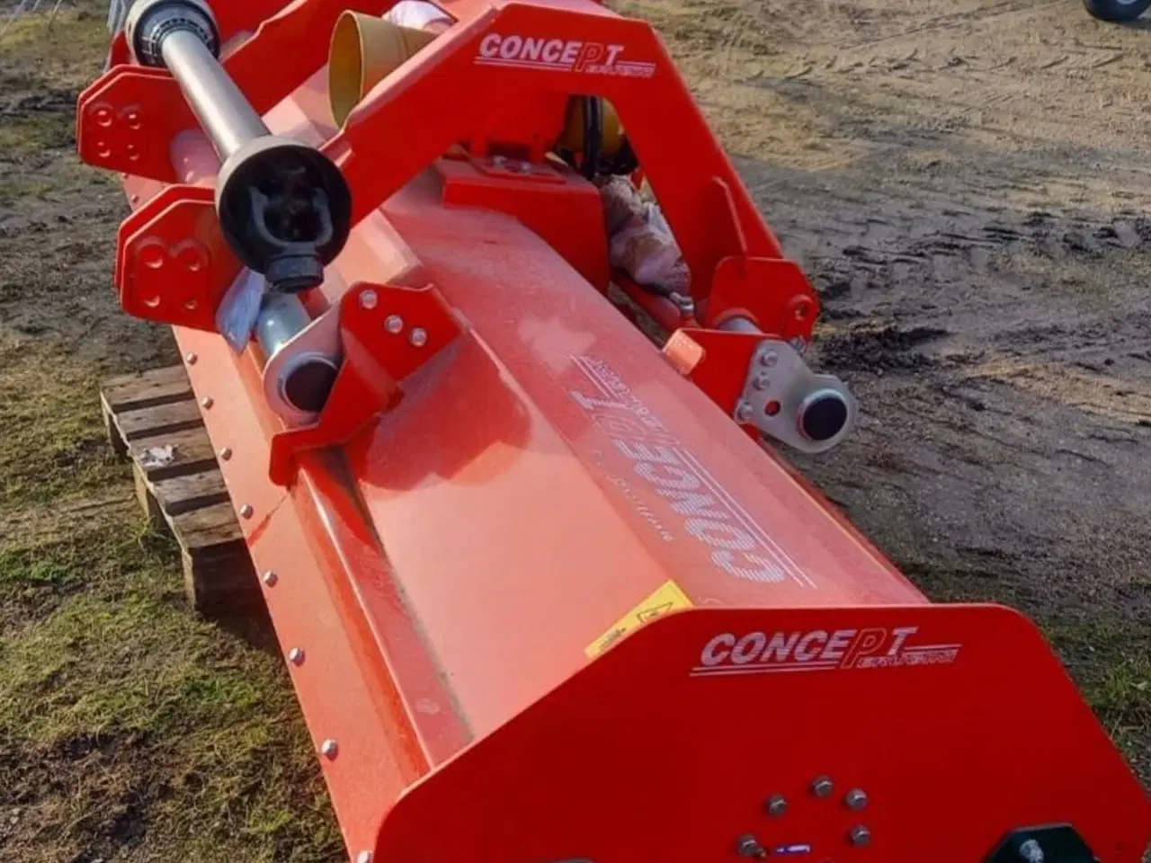 Billede 4 - Concept Perugini KX300