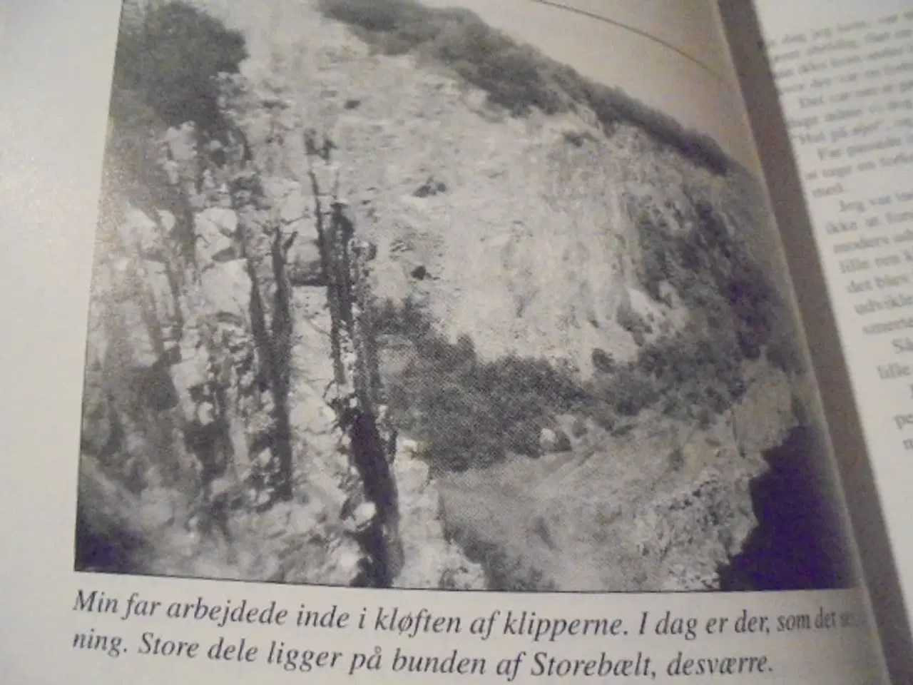 Billede 4 - PIGEN FRA ØEN - ERINDRINGSBOG OM BORNHOLM