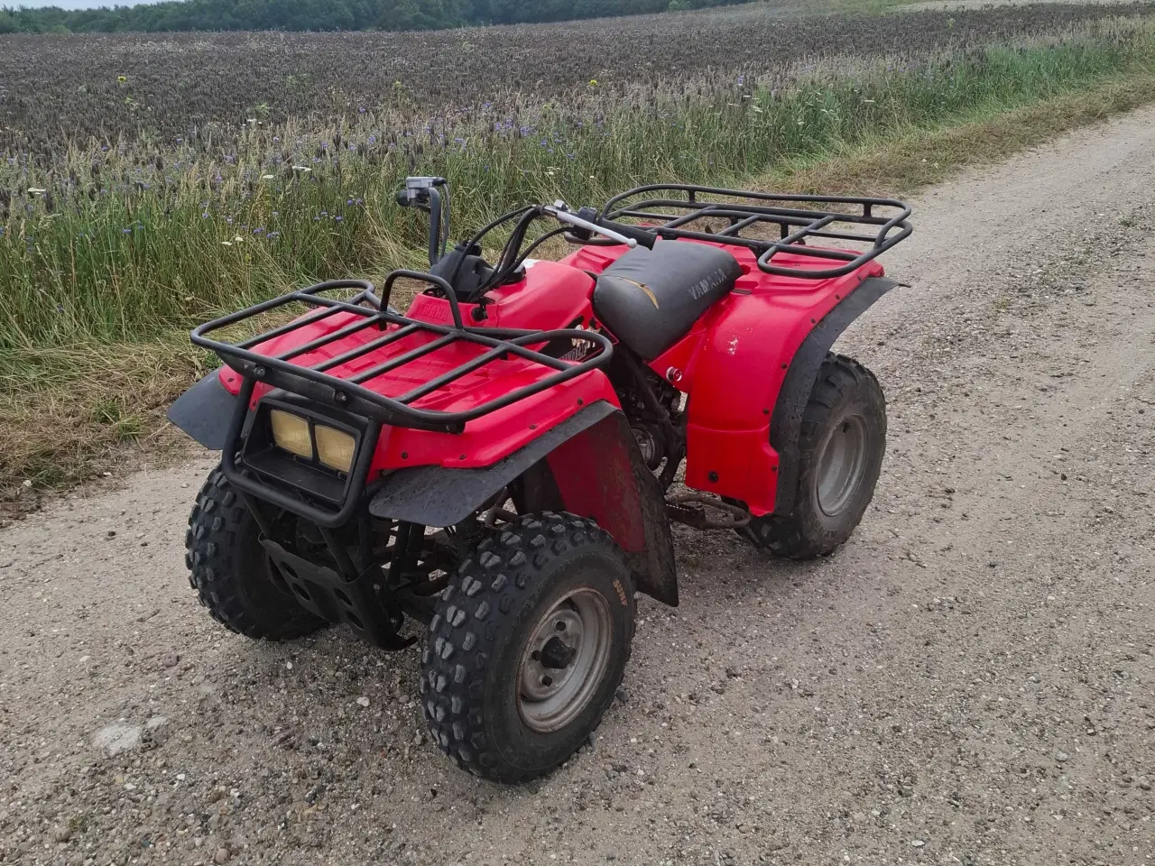 Billede 2 - Yamaha 250cc atv