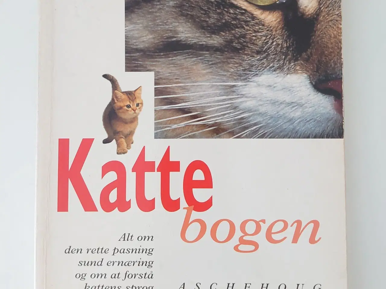 Billede 1 - Ulrike Müller: Katte bogen. Aschehoug 1997