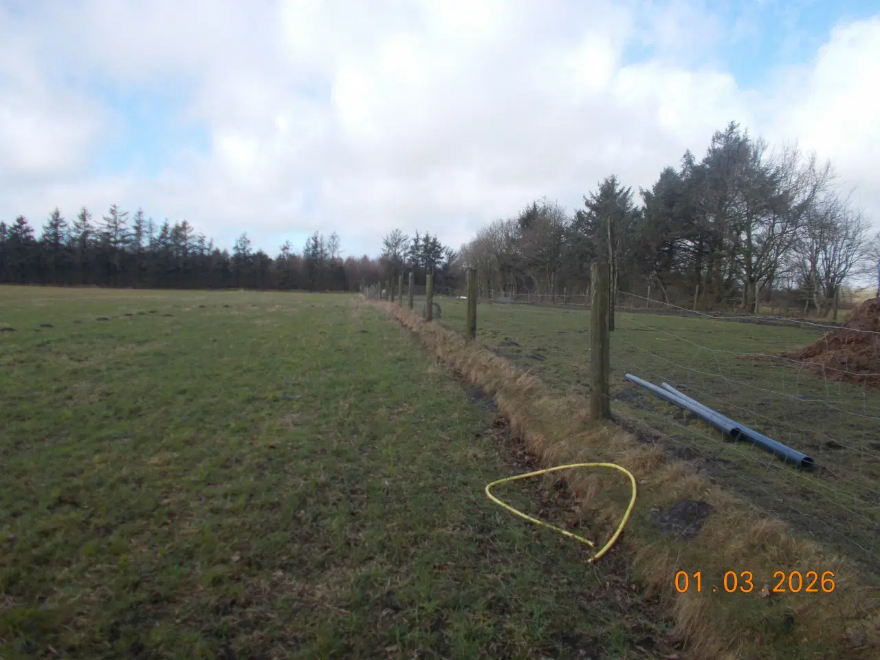 Billede 2 - hegn