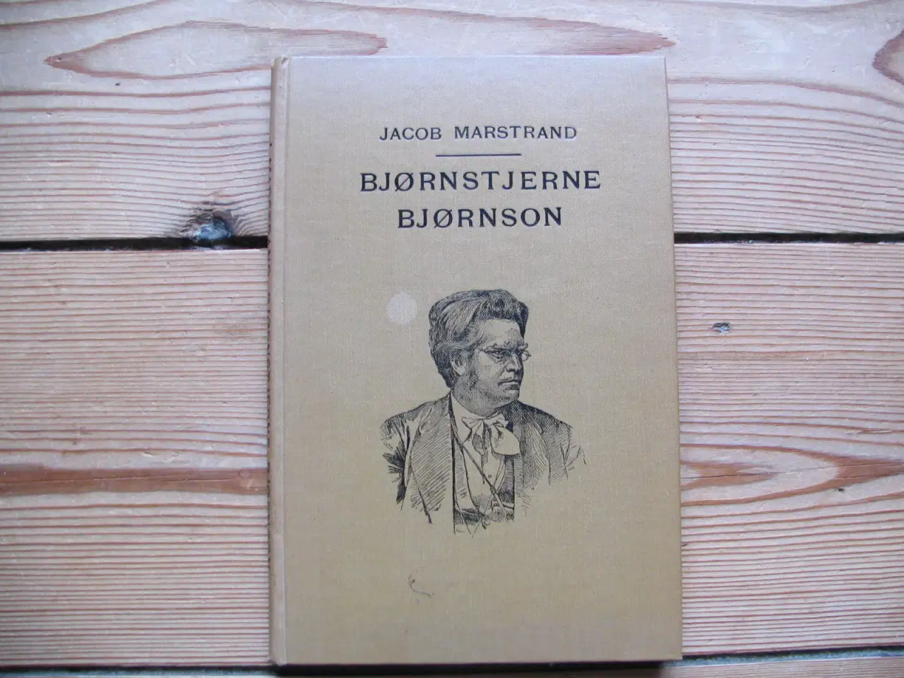 Billede 1 - Bjørnstjerne Bjørnson – en livsskildring