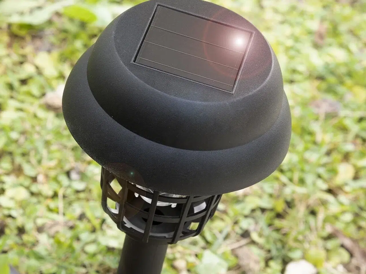 Billede 4 - Myg-drab Solar Have Lampe Garlam InnovaGoods