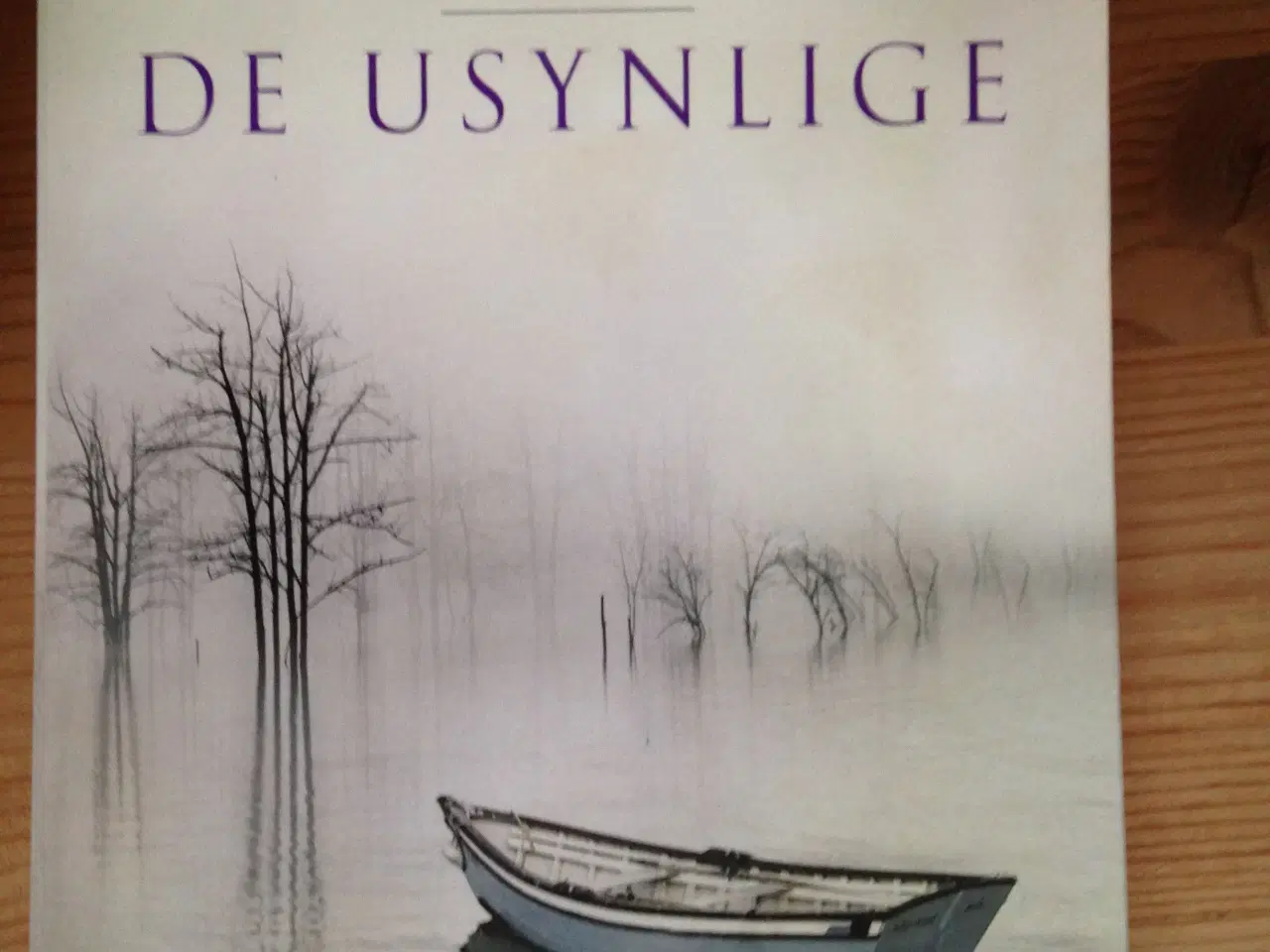 Billede 1 - De usynlige