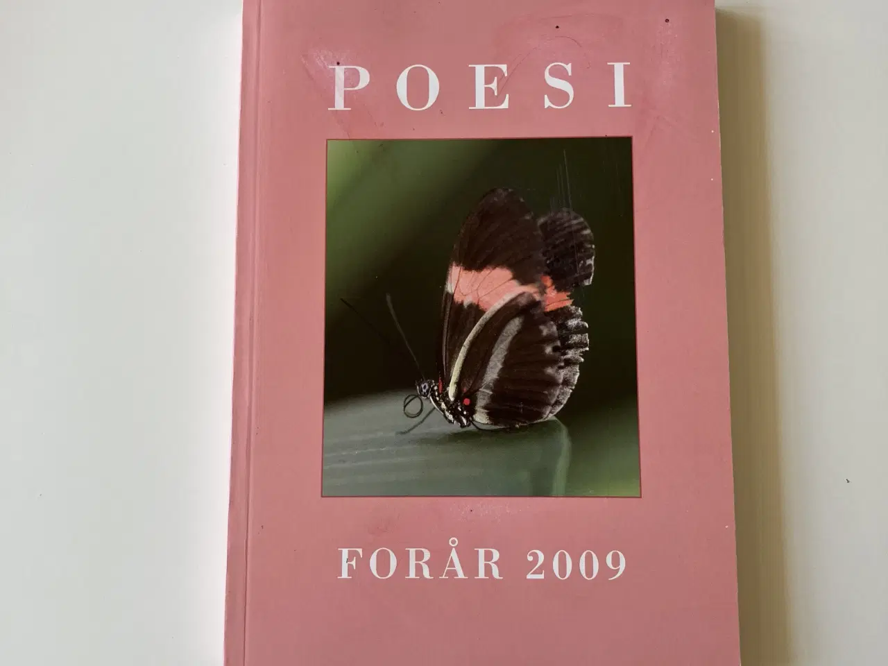 Billede 1 - Poesi - forår. Årgang 2009