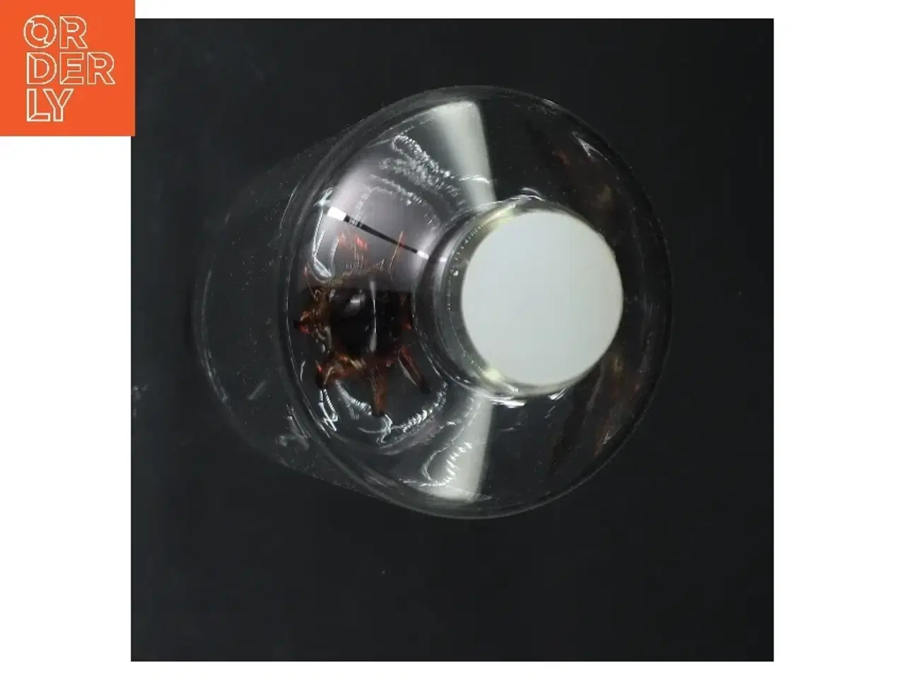 Billede 6 - Glaskaraffel med blæksprutte design fra Balvi (str. 32 cm)