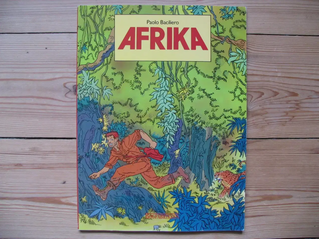 Billede 1 - Afrika