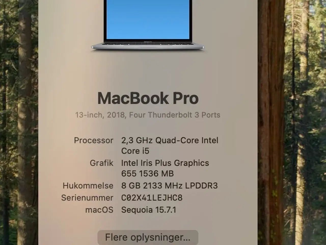 Billede 2 - MacBook Pro 13” (2018) – 2,3 GHz i5 / 8 GB / 256 G