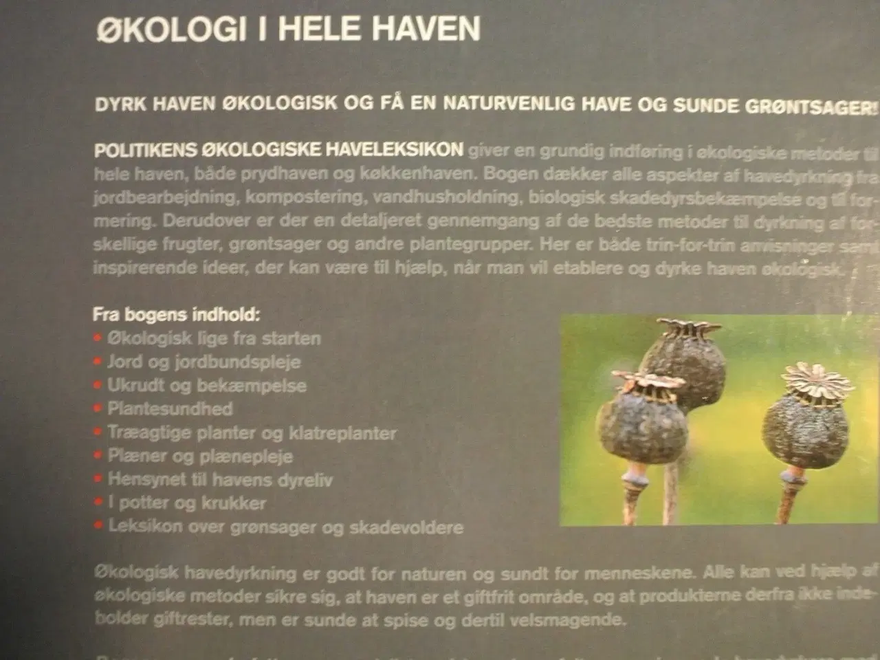 Billede 3 - politikens økologiske haveleksikon, red. af allan 