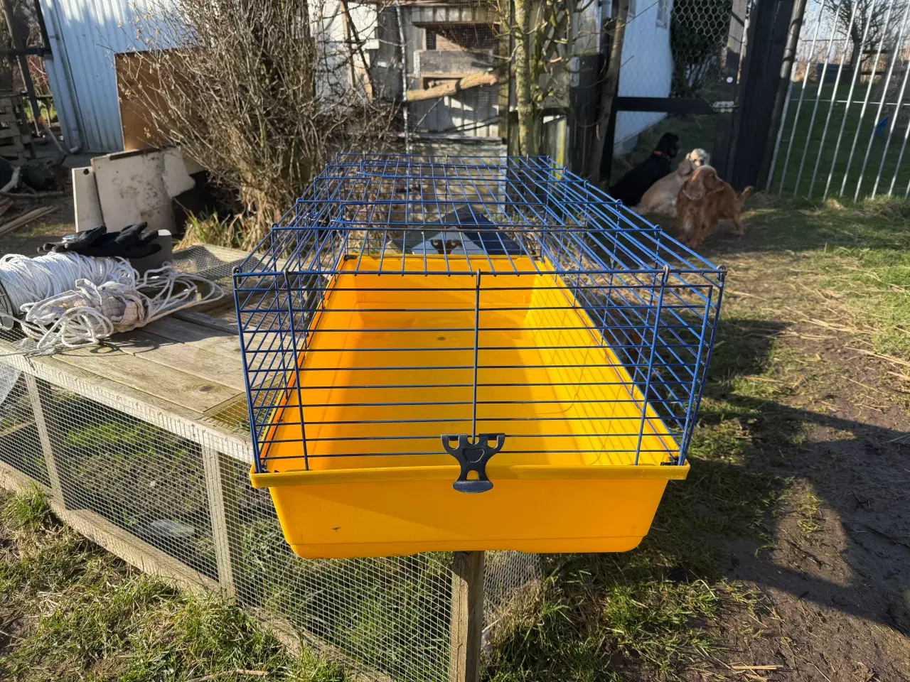 Billede 5 - Inde og udendørs bure