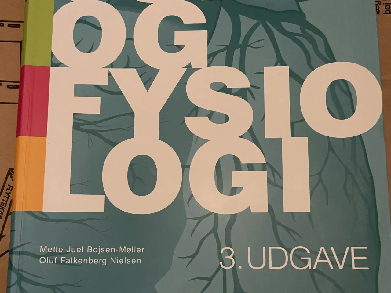 Billede 2 - Anatomi og fysiologi 