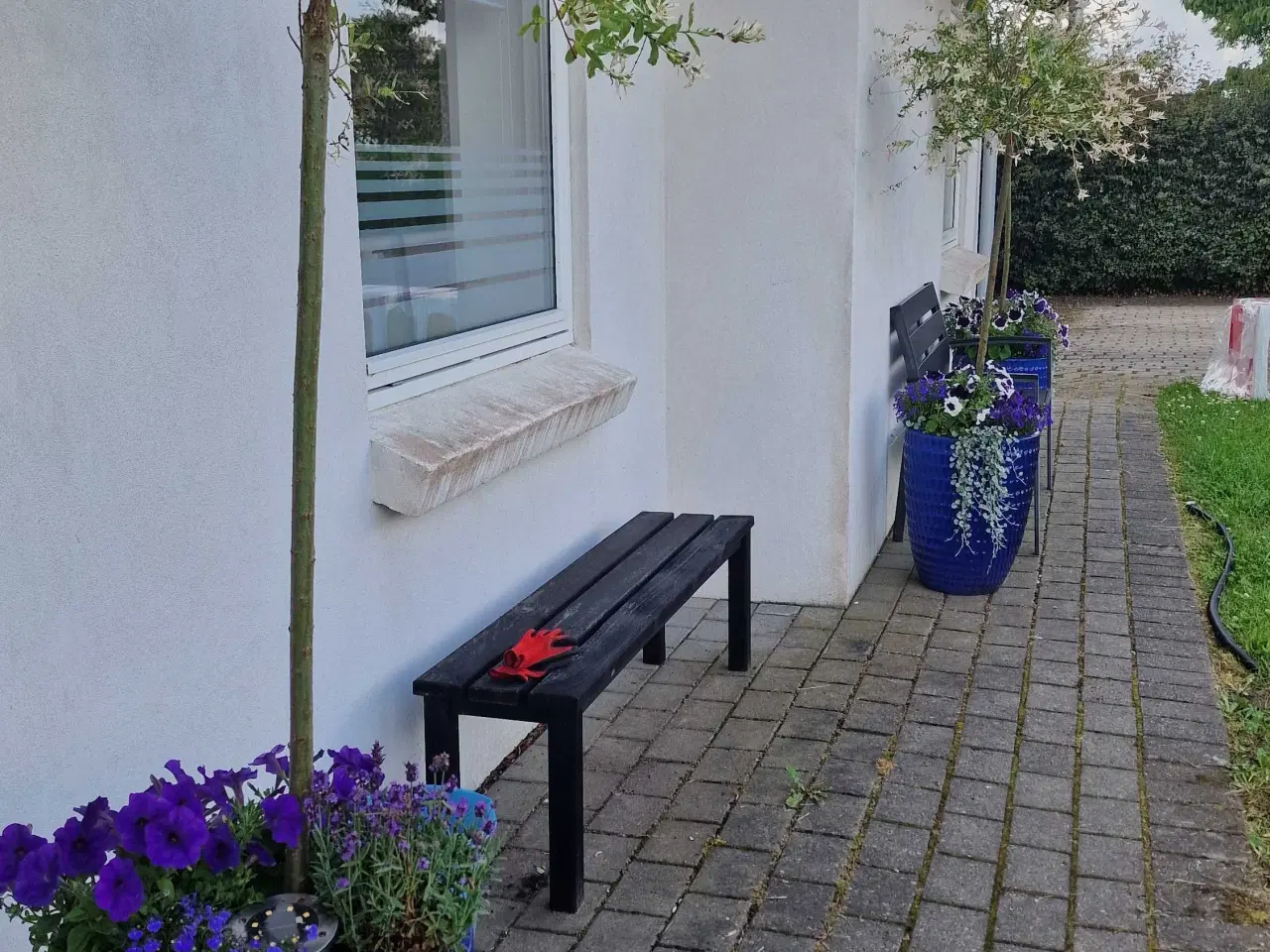Billede 4 - Flotte store potter med planter