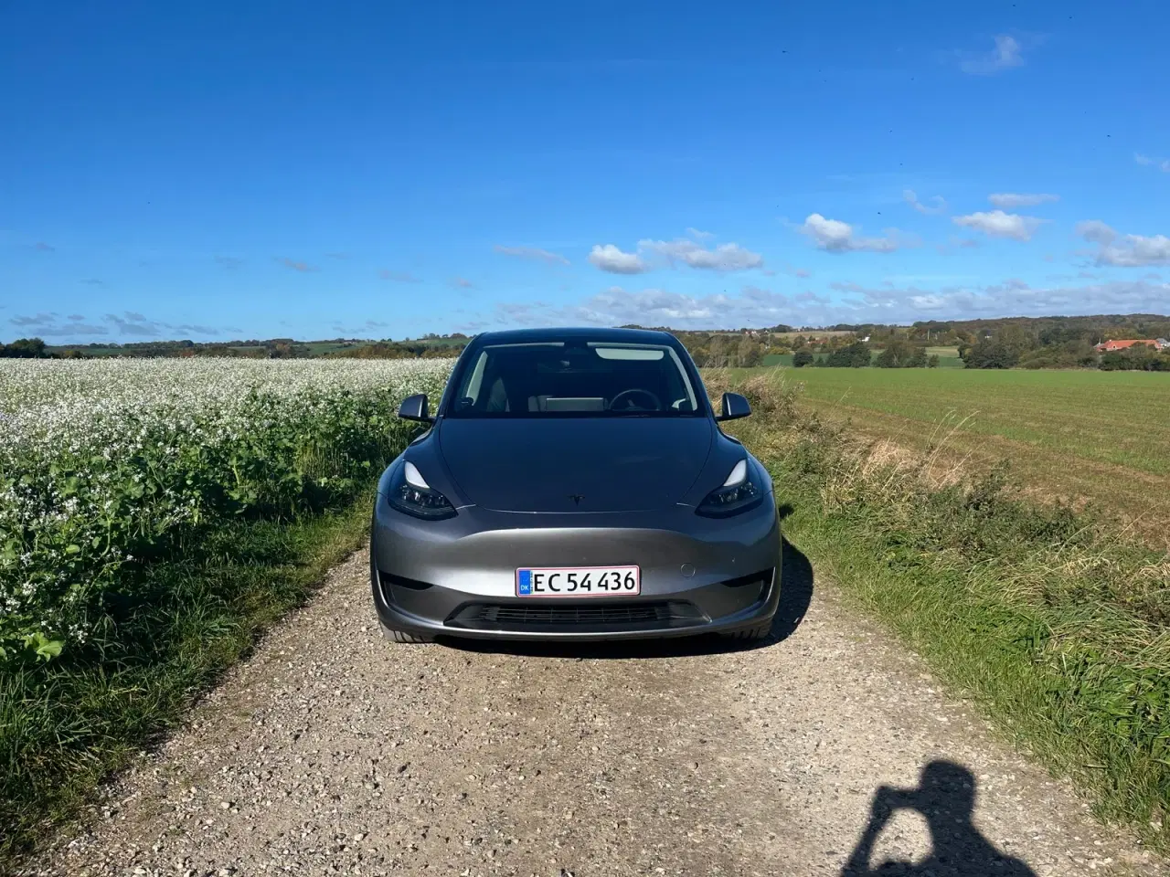 Billede 17 - Tesla Model Y  Long Range RWD