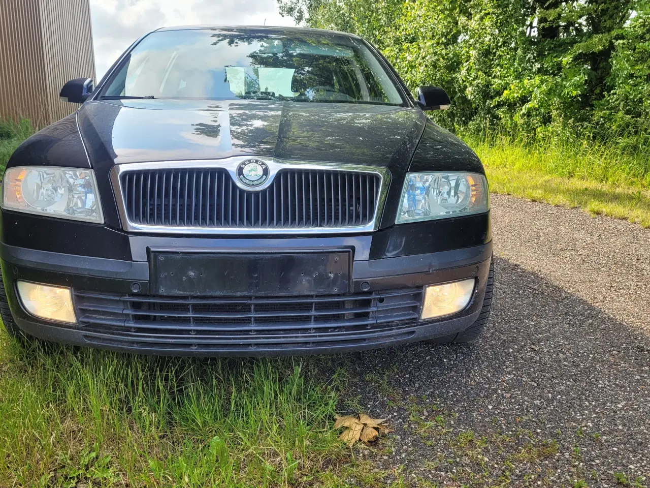 Billede 3 - Skoda 1,8 tsi 