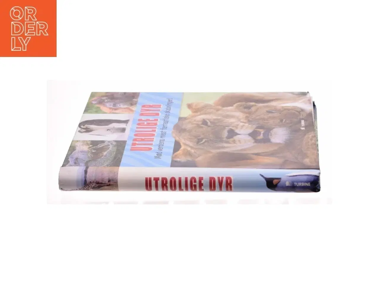 Billede 3 - Utrolige dyr (Bog)