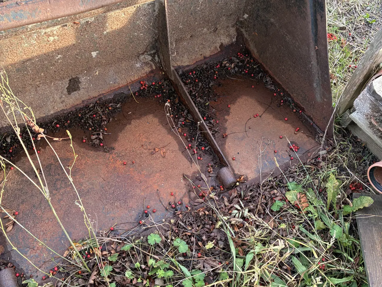 Billede 3 - Ålø Skovl