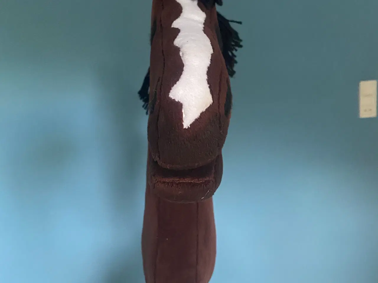 Billede 2 - Kæphest, hobbyhorse