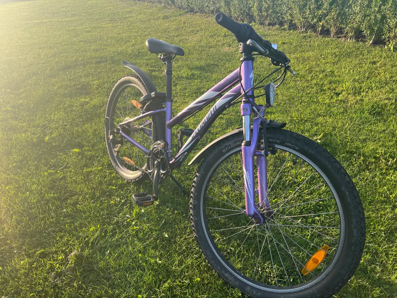 Billede 2 - Specialized 24” mtb