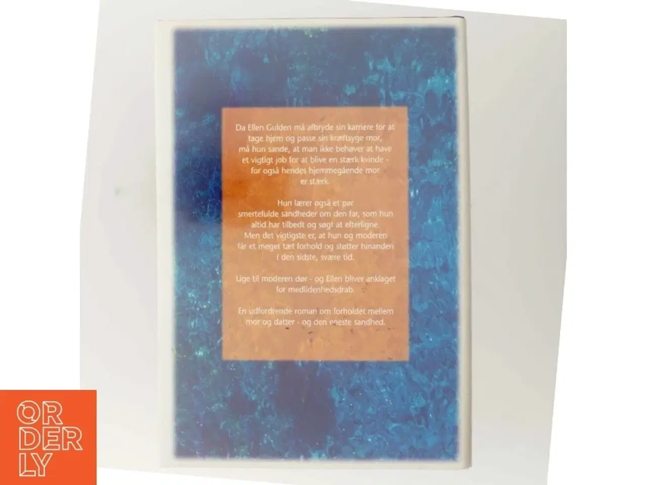 Billede 3 - Den eneste sandhed af Anna Quindlen
