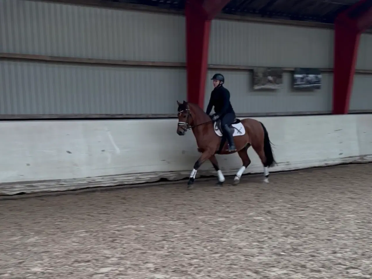 Billede 2 - Sød 1’er pony