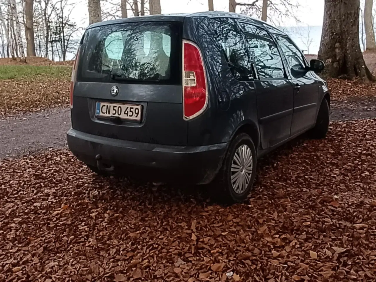 Billede 4 - ✅Frisk Nysynet Skoda Roomster 1,9 TDI✅