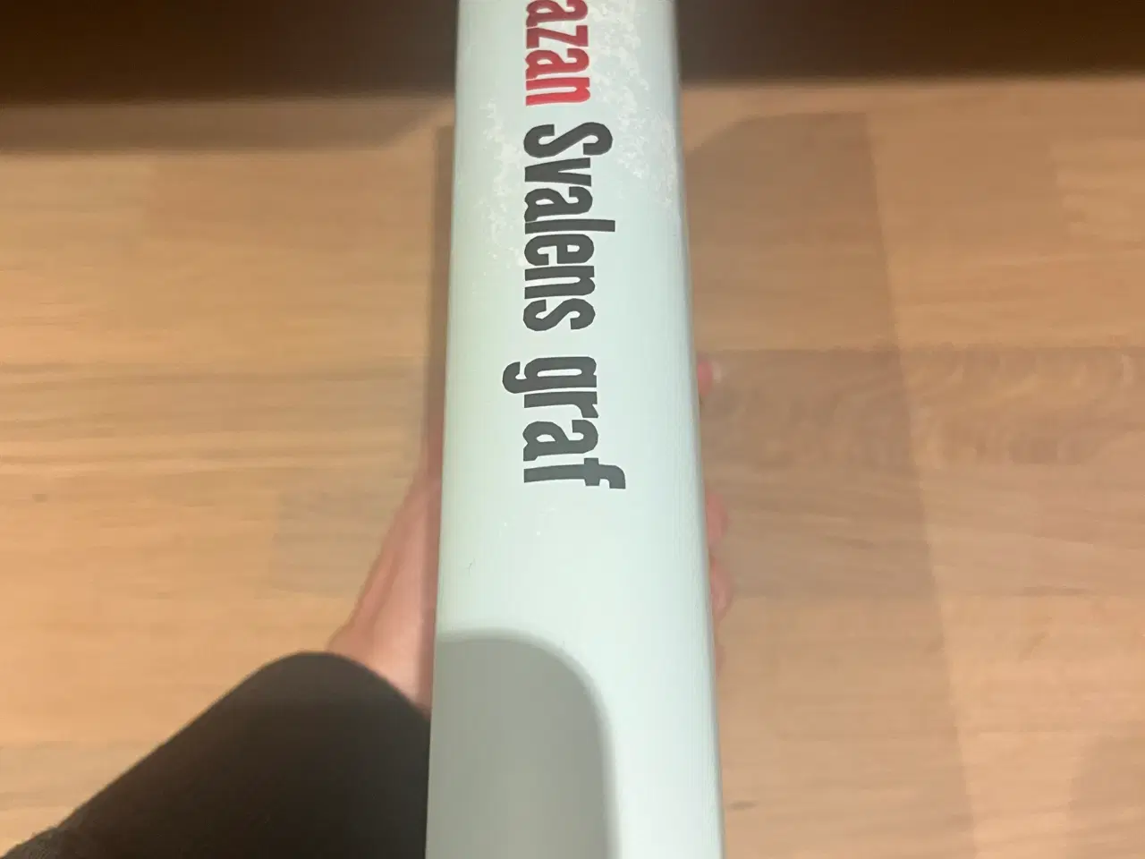 Billede 3 - Sissel-Jo Gazan - Svalens Graf