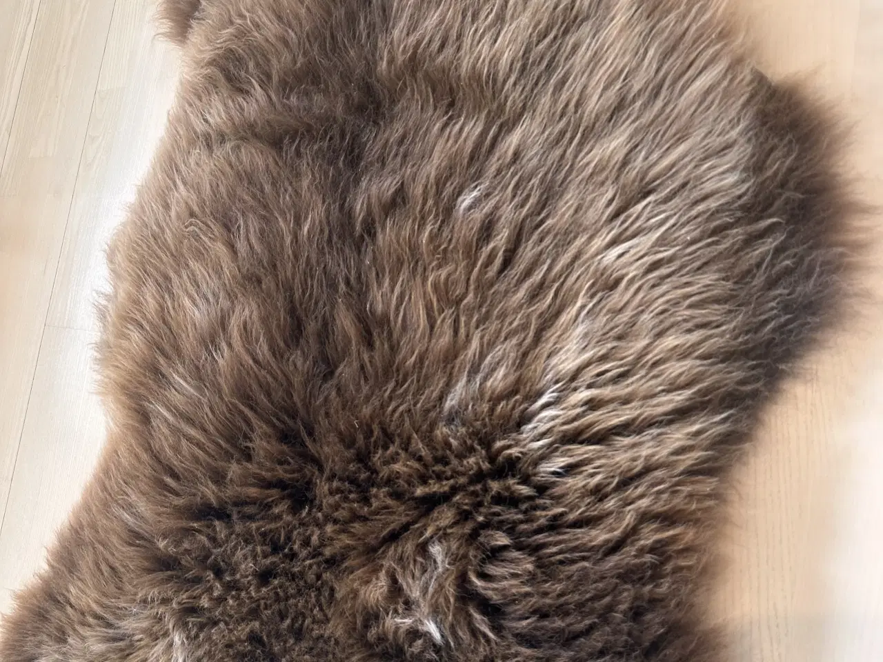 Billede 6 - Helt nyt dansk lammeskind