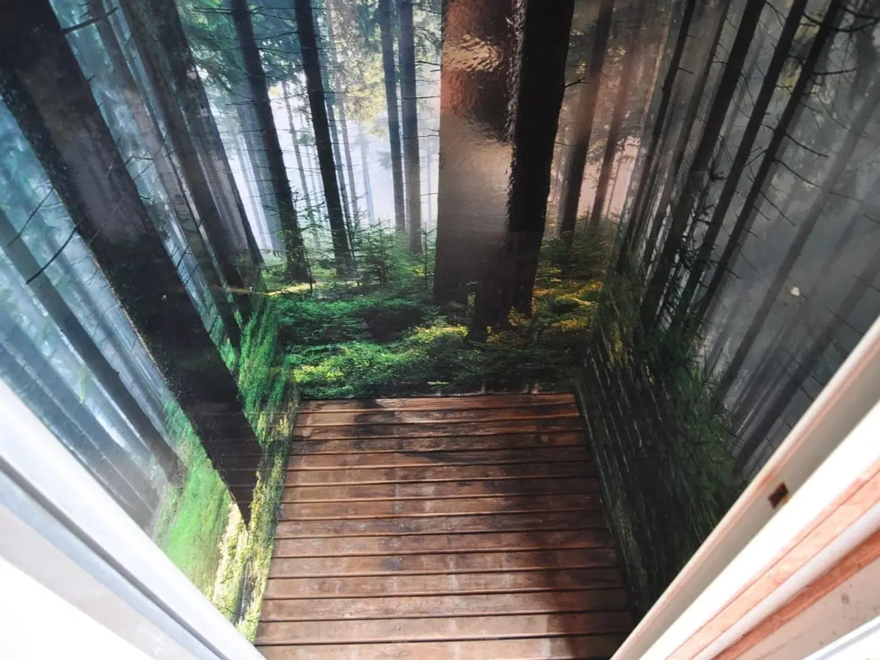 Billede 16 - Type 570: Saunavogn