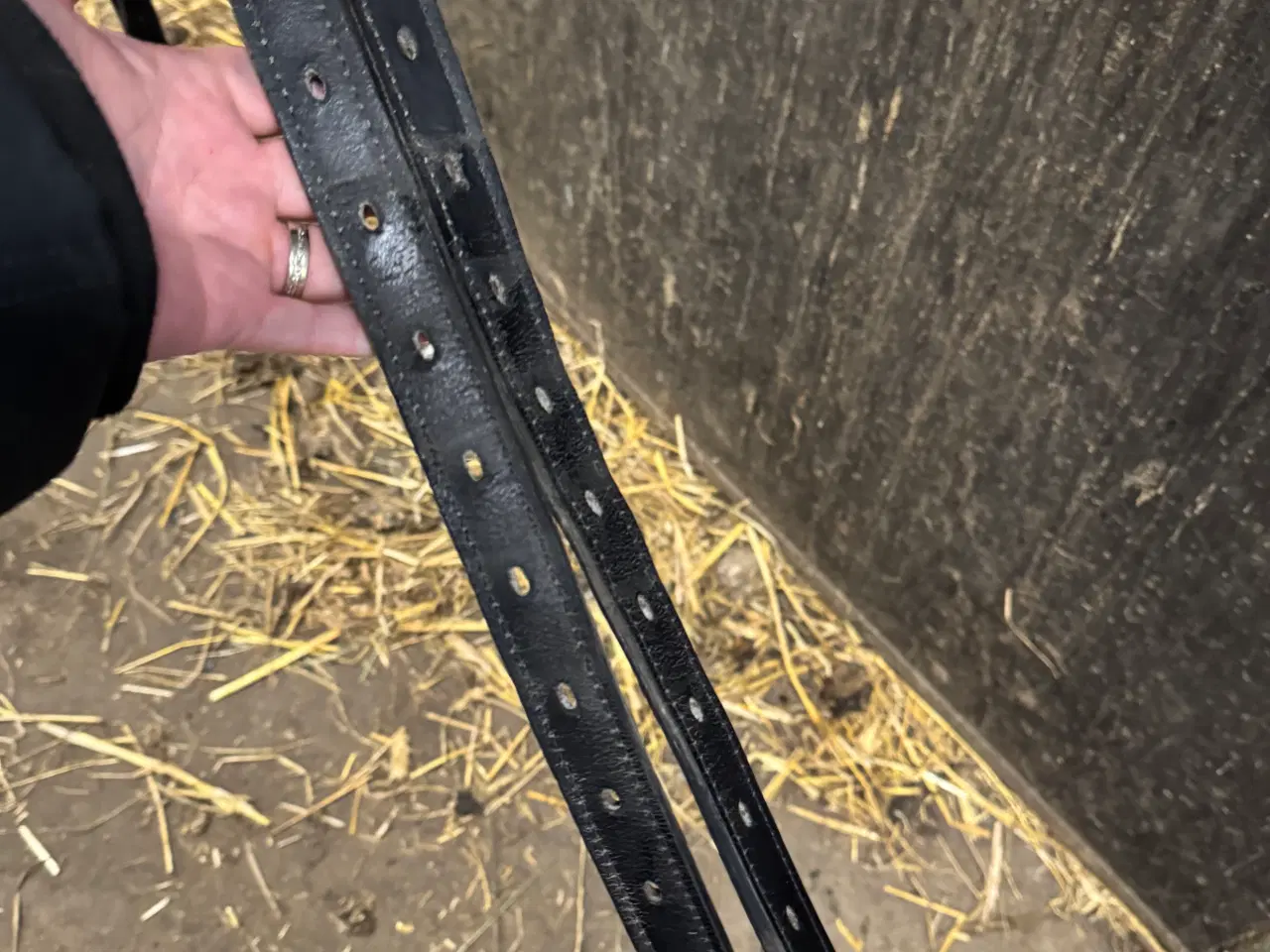 Billede 7 - Bomløs sadel Karlslund