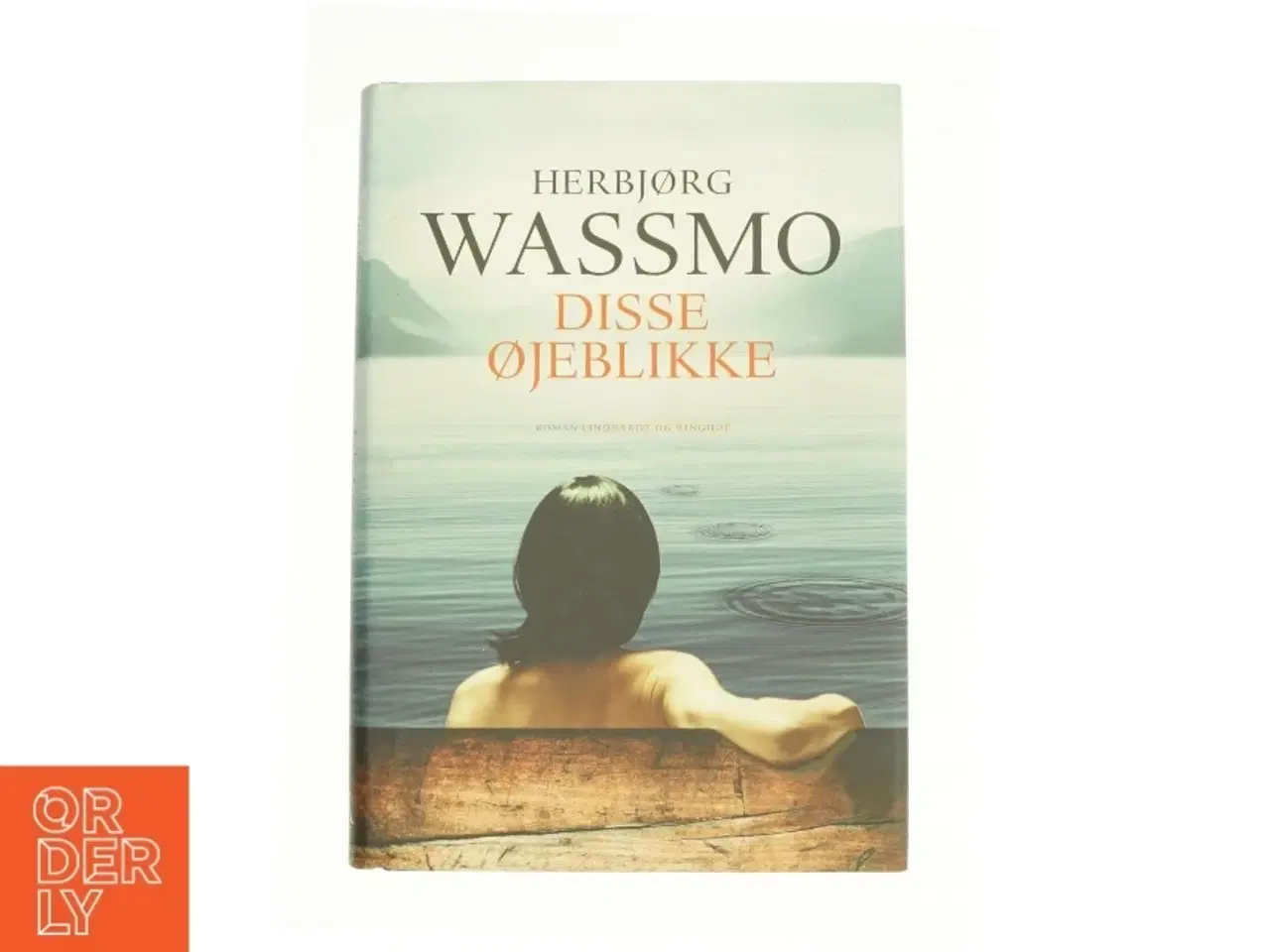 Billede 1 - Disse øjeblikke af Herbjørg Wassmo (Bog)