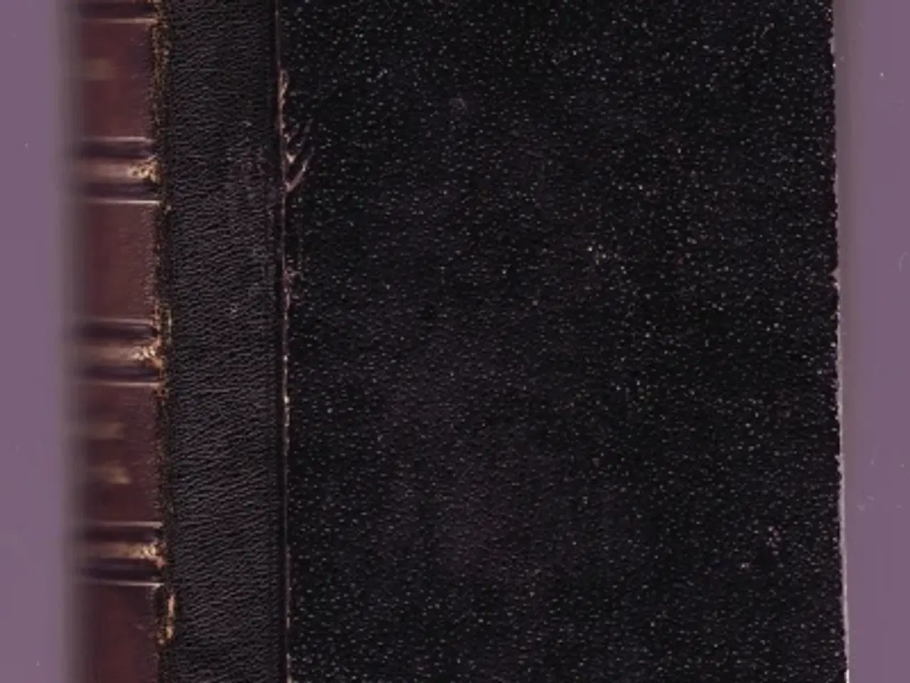 Billede 1 - Gottfried Keller: Noveller