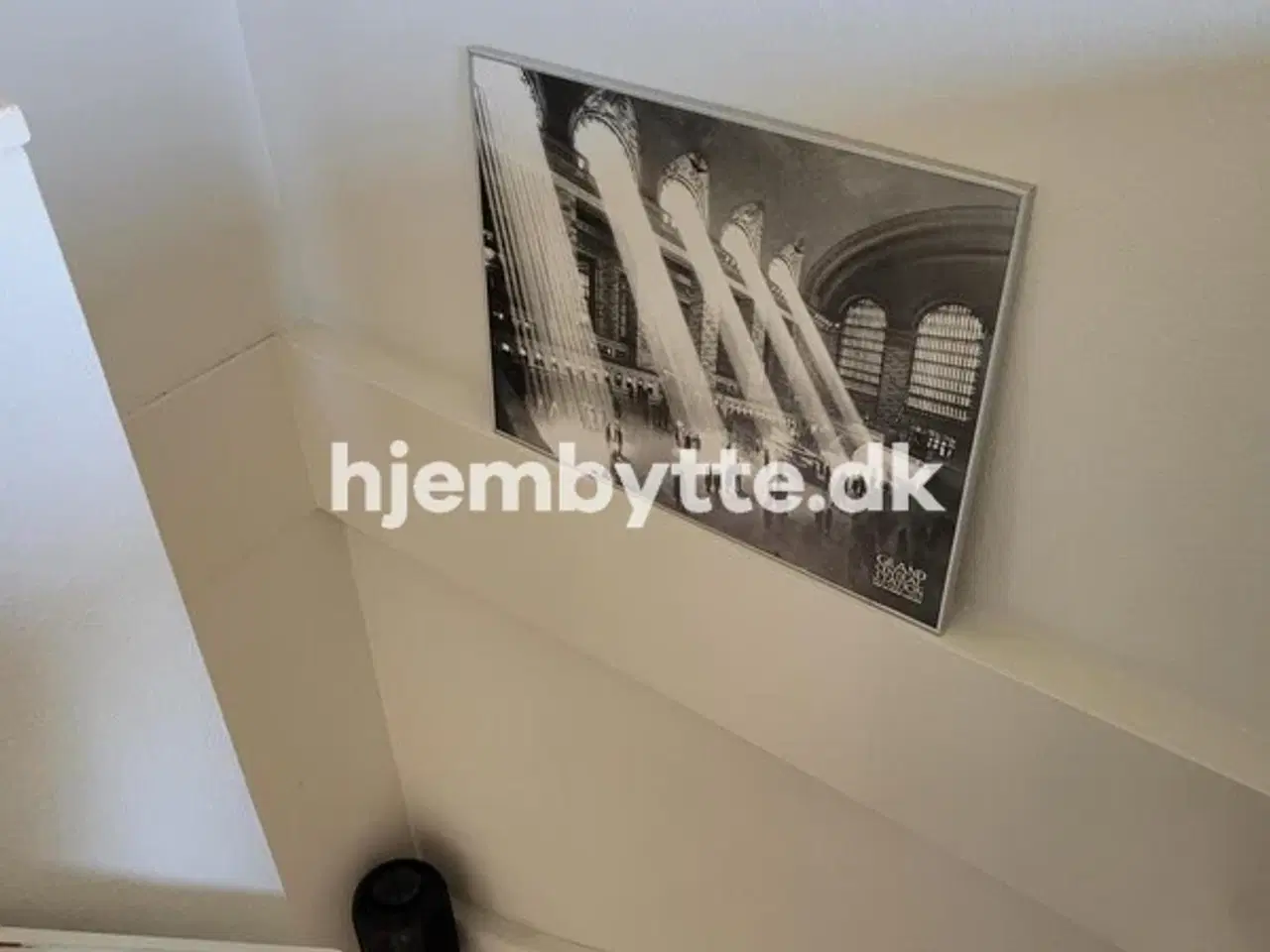 Billede 19 - Hjembytte - Enebærhegnet