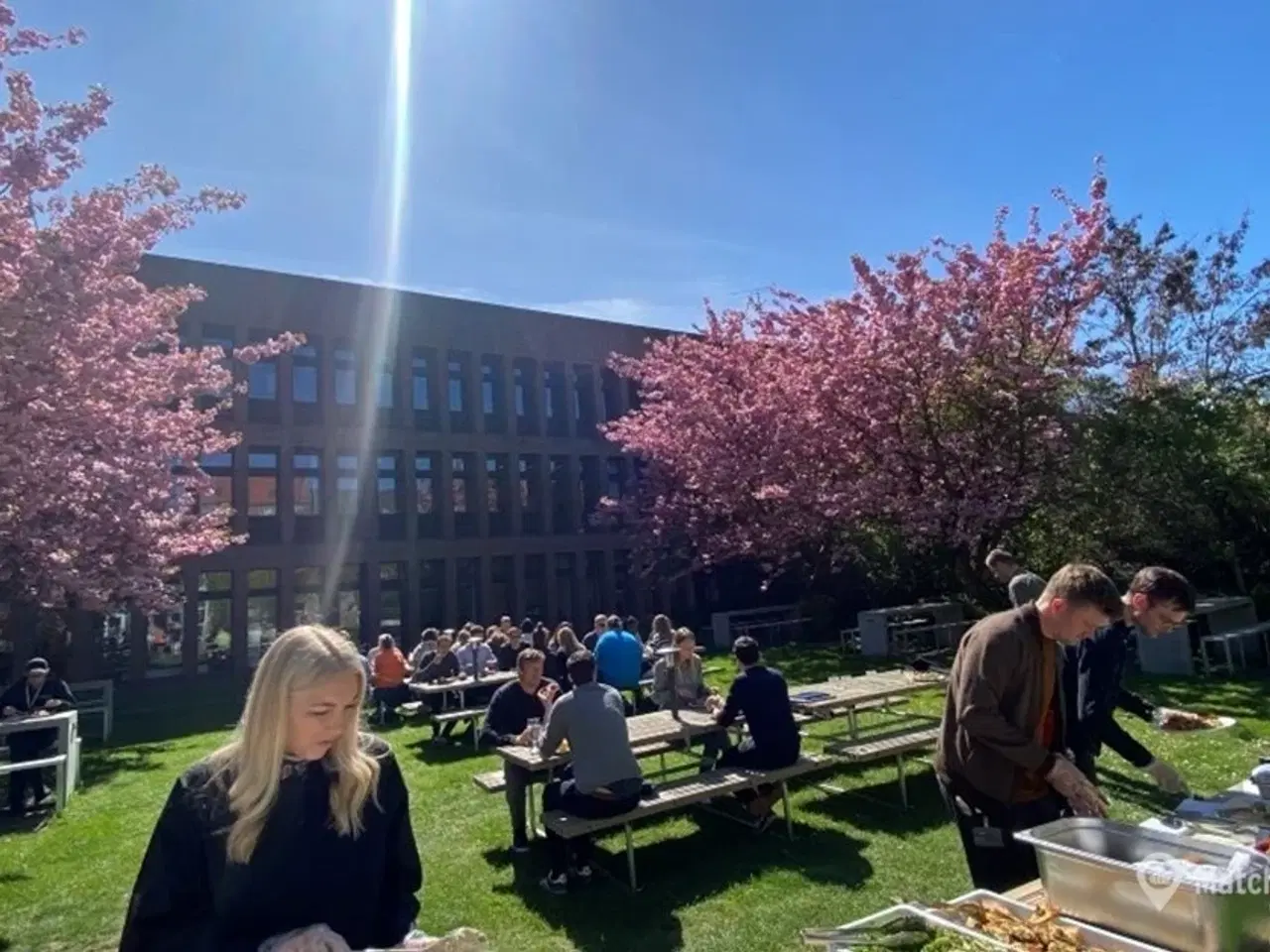 Billede 5 - På udkig efter kontor fra 2 til 8 personer?