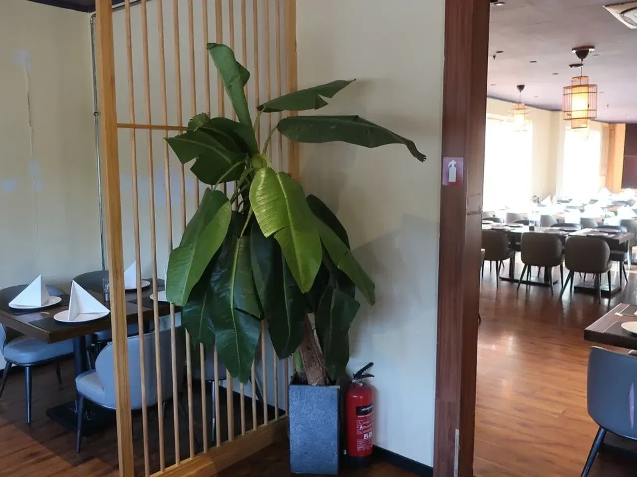 Billede 2 - Kunstig plante