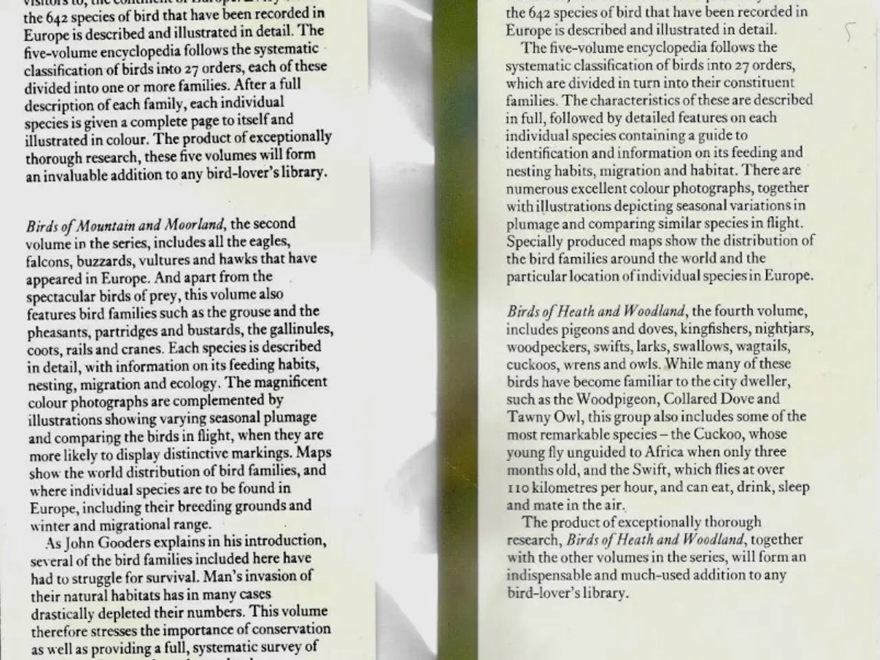 Billede 8 - Orbis Encyclopedia of Birds of Britain and Europe