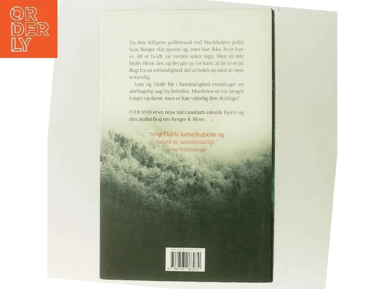 Billede 3 - Indland : kriminalroman af Arne Dahl (f. 1963) (Bog)