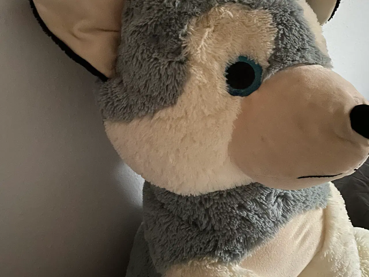 Billede 5 - Bamsehund