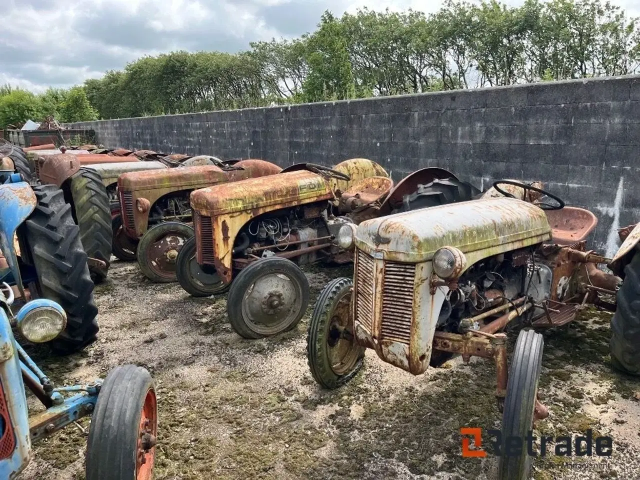 Billede 3 - - - - LOT Med 20 stk. Massey Ferguson Oldtimer Traktorer.