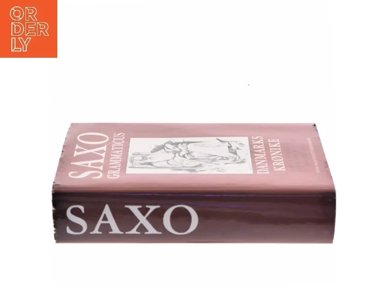 Billede 2 - Danmarks Krønike af Saxo Grammaticus (Bog)