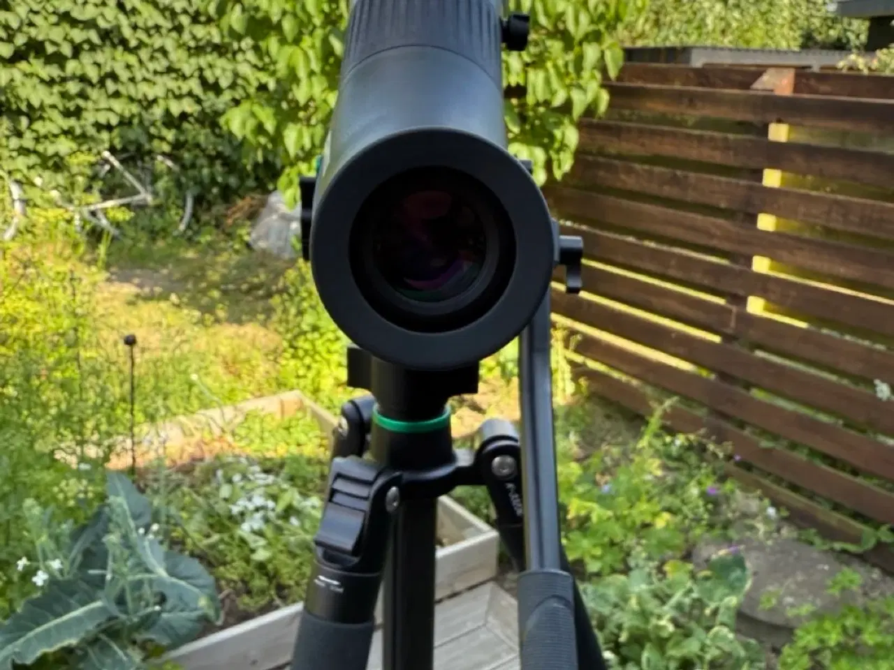 Billede 4 - DOF BirdLife 25-50x82mm teleskop + stativ