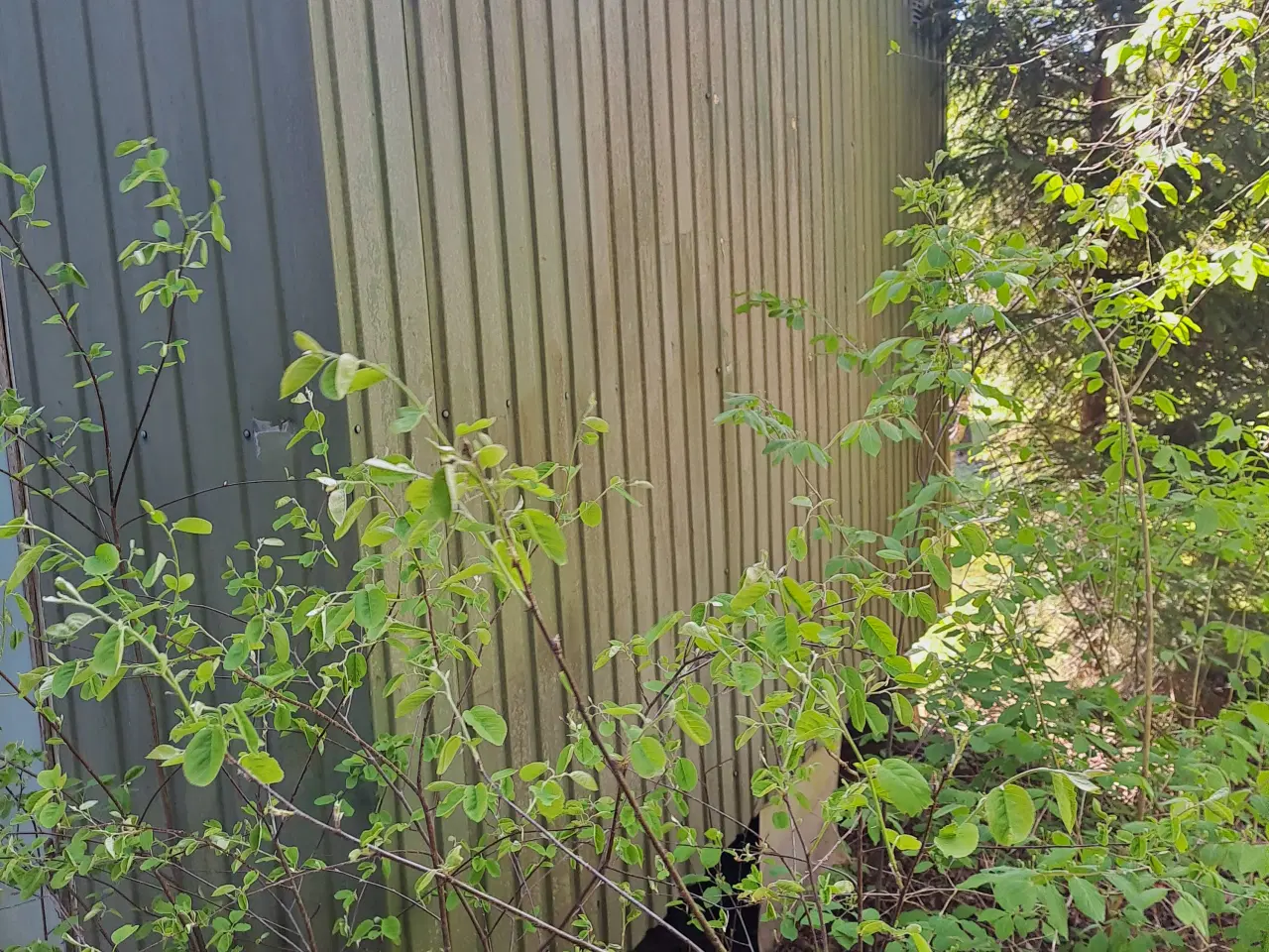 Billede 4 - skurvogn ca 2,0x3,7 m