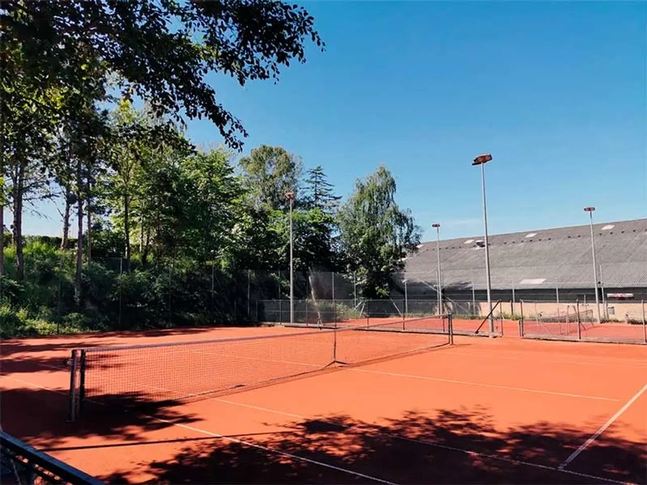 Billede 8 - Tenniskursus for begyndere!! Vejgaard. Øgade.
